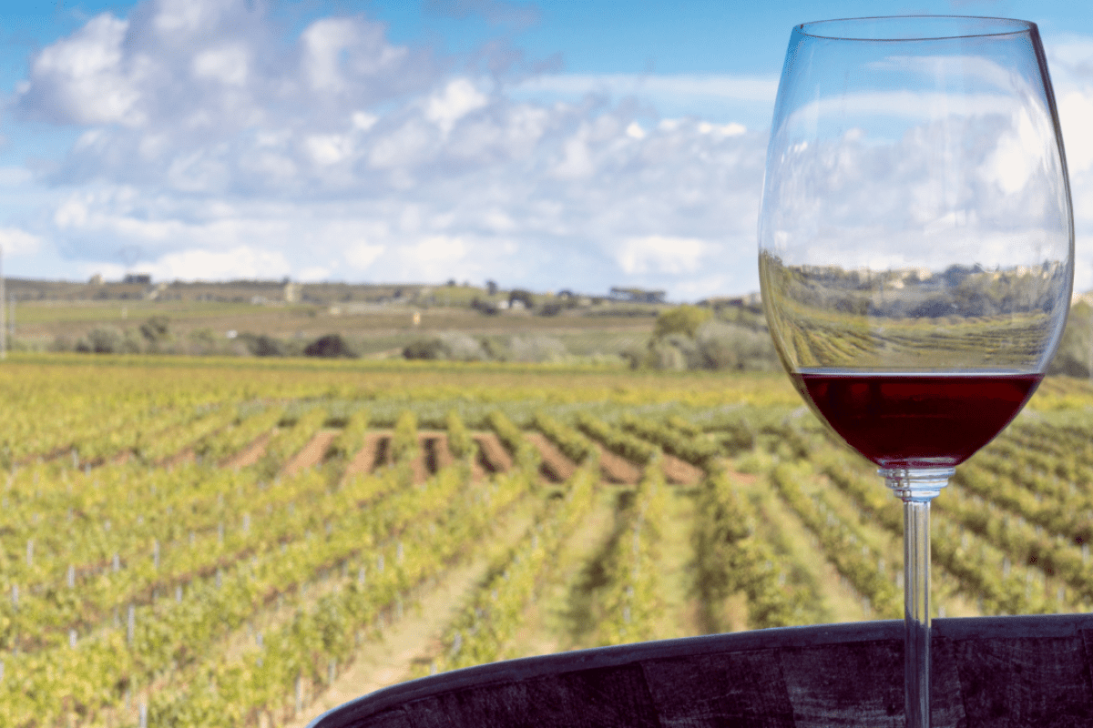 la vinificazione in rosso