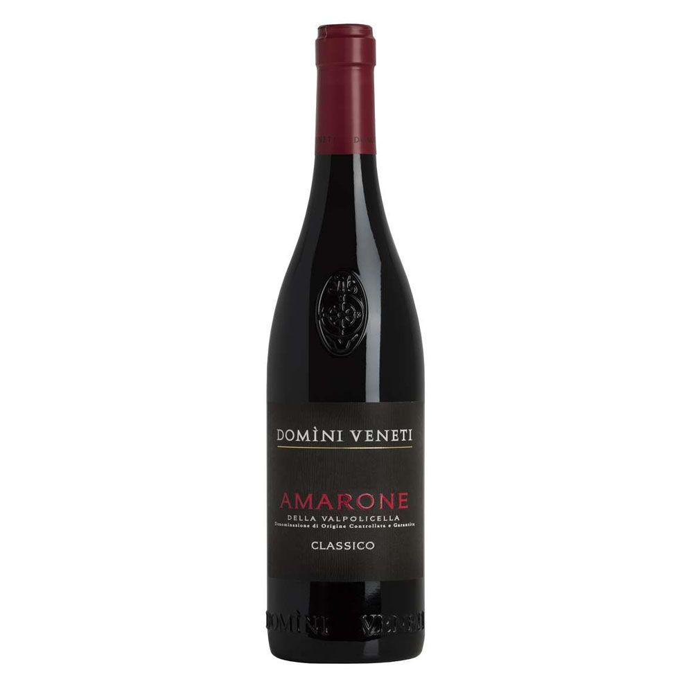 Etichetta Amarone della valpolicella docg classico Domini veneti